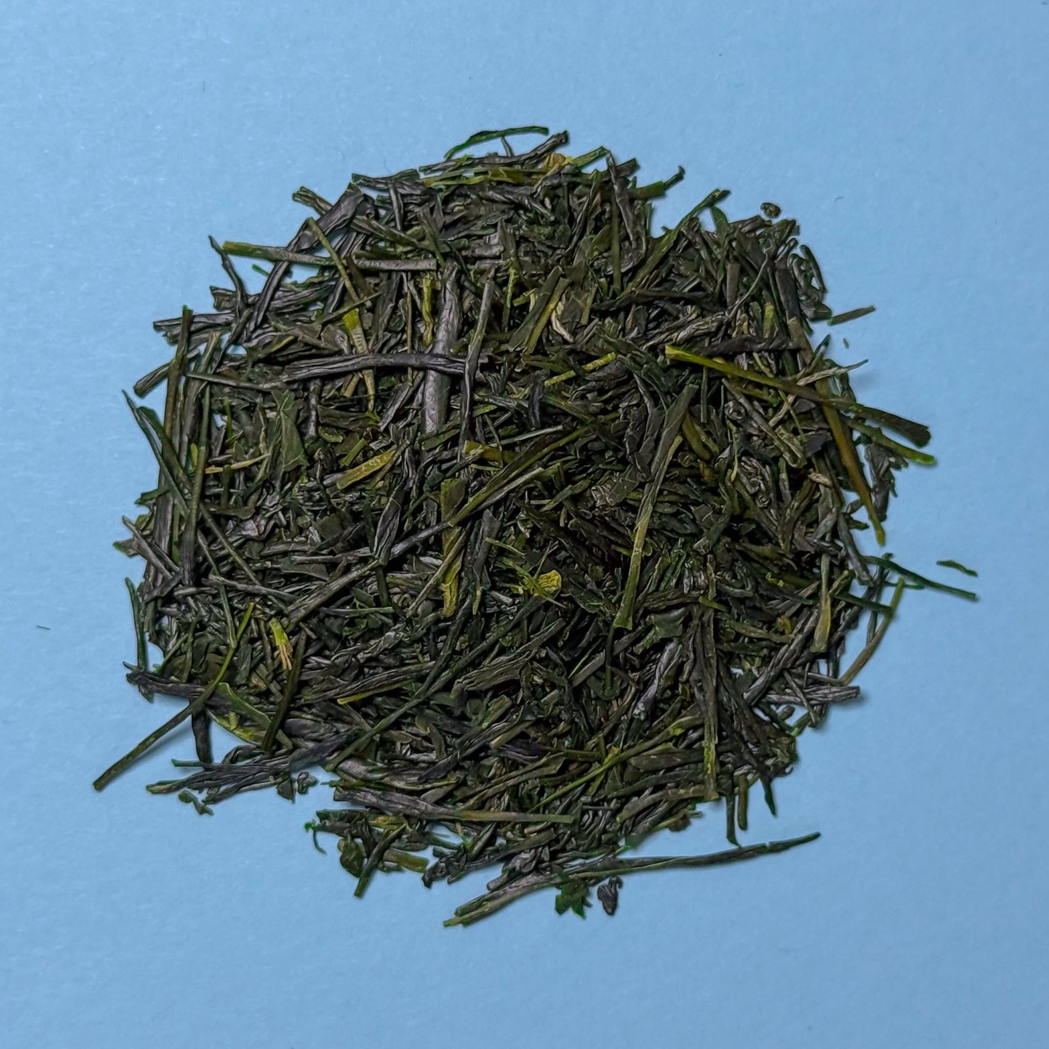 SENCHA TASTER PACK