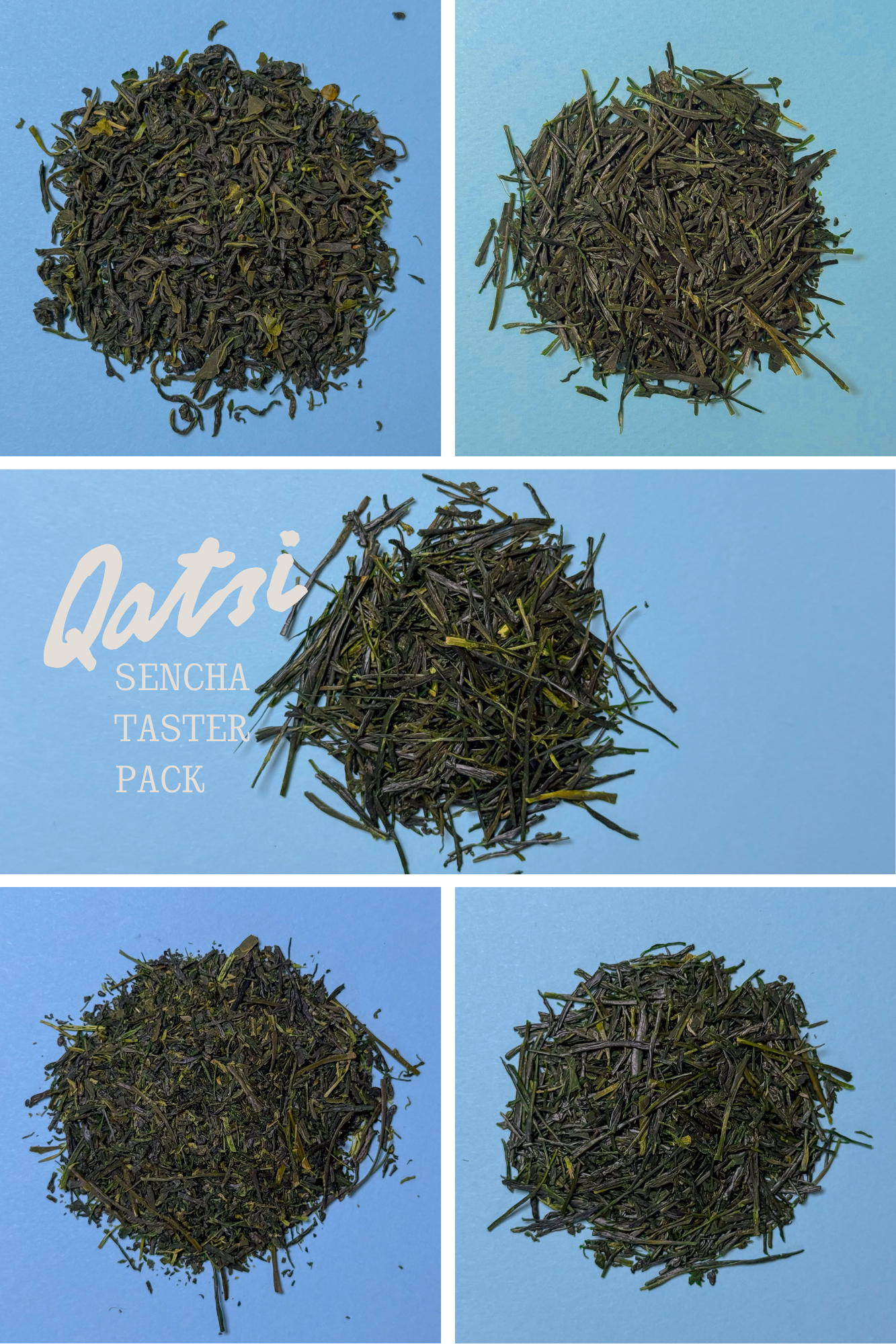 SENCHA TASTER PACK